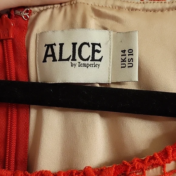 Alice by Temperley Dress - Picture 3 of 6